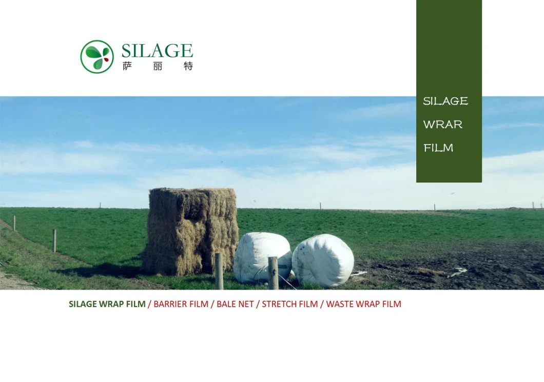 Alfalfa Silage Wrap Film for Packing Ruminant Fodder