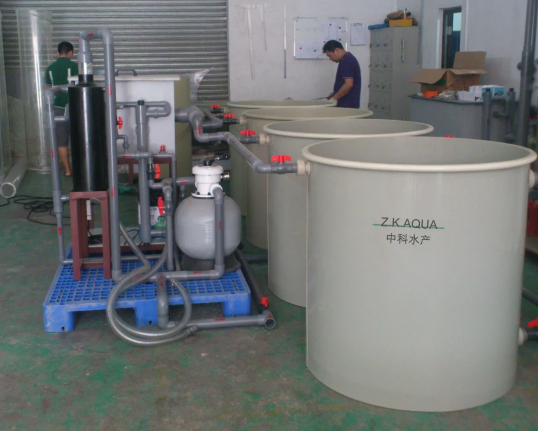 Mini Ras System Equipment Aquaculture for Fish Farming