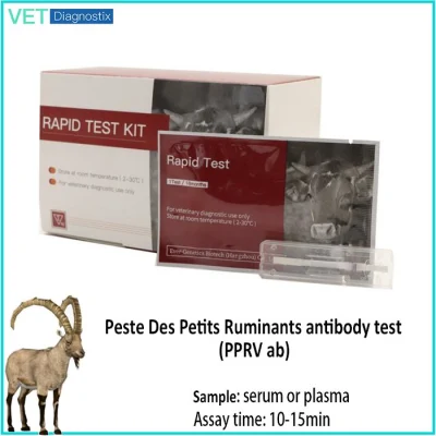 Vet Diagnostic – Peste Des Petits Ruminants Antikörpertest (PPRV ab)