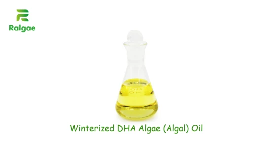 Winterisiertes veganes Omega-3-Öl DHA Algenöl 50 % DHA Kein EPA für vegetarische Ernährung Nahrungsergänzungsmittel Softgel CAS6217-54-5