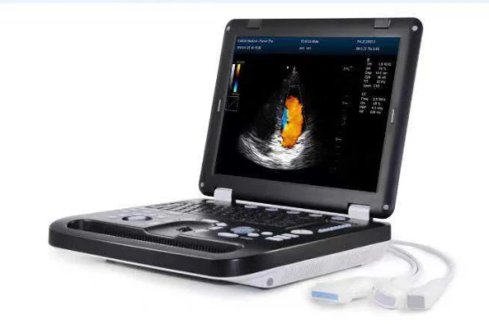 B-Ultraschallscanner für Wiederkäuer